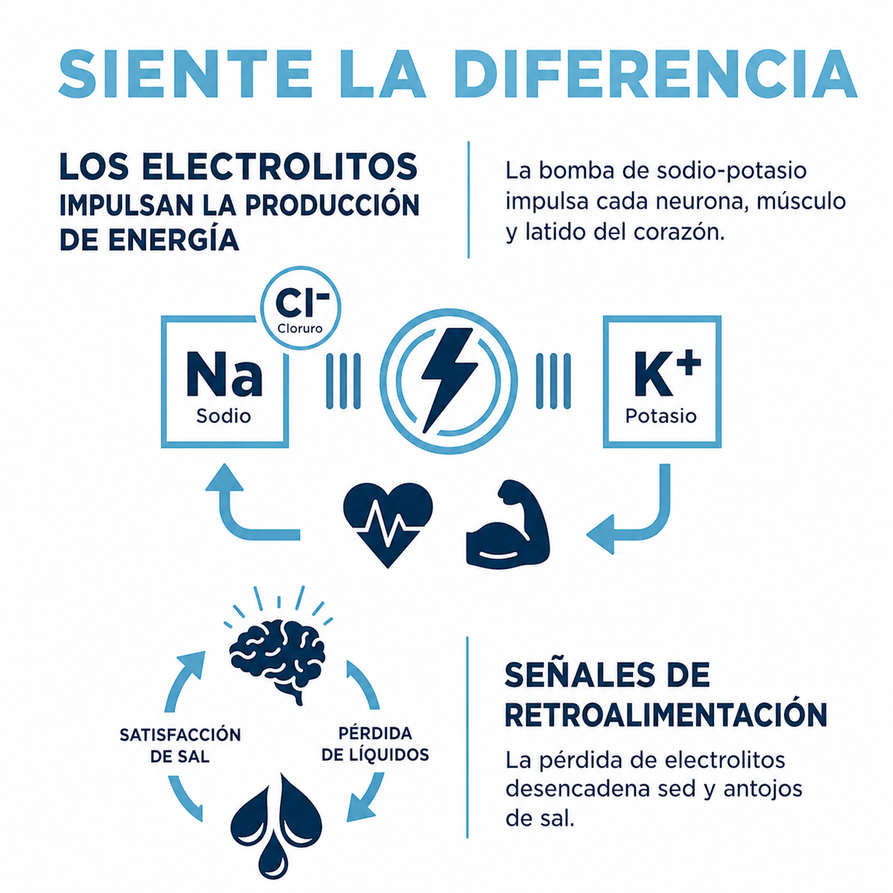 Salty Natural - Suplemento de Hidratación