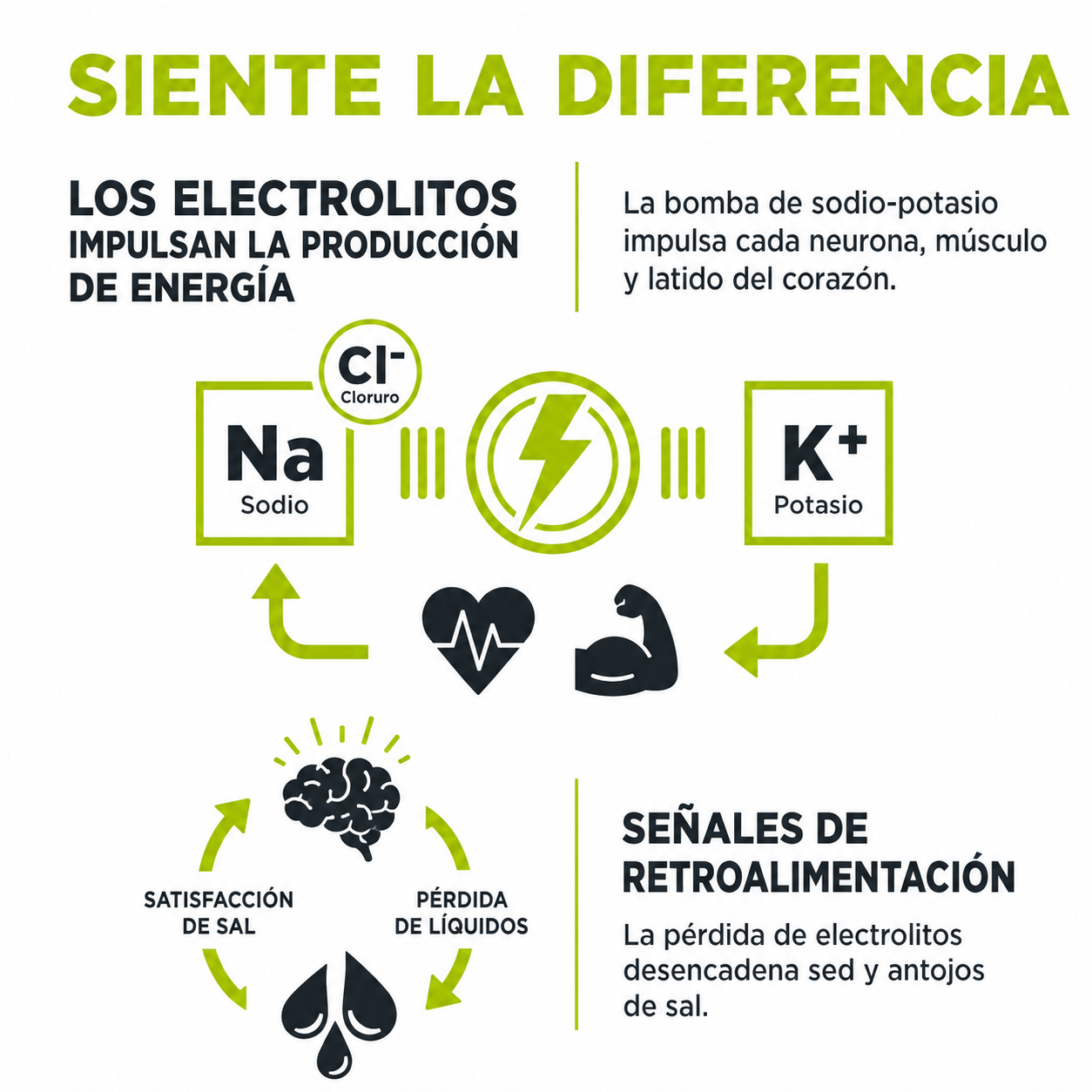 Salty Limón - Suplemento de Hidratación