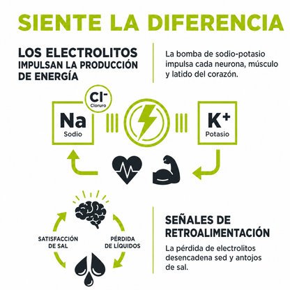 Salty Limón - Suplemento de Hidratación